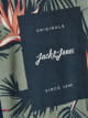 T-shirts m/c