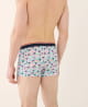 Boxer 