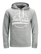 Sweat a capuche logo 