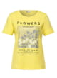 T-shirts m/c