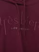 Sweat a capuche