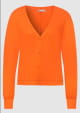 Gilets boutonnes
