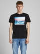 T-shirts m/c