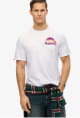 T-shirts m/c