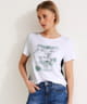 T-shirts m/c