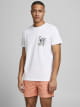 T-shirts m/c