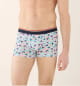 Boxer 