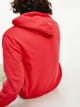 Sweat a capuche