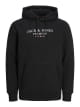 Sweat a capuche