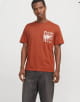 T-shirts m/c