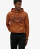 Sweat zippe capuche