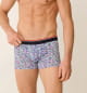 Boxer 