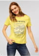 T-shirts m/c