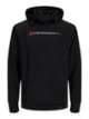 Sweat a capuche