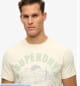 T-shirts m/c